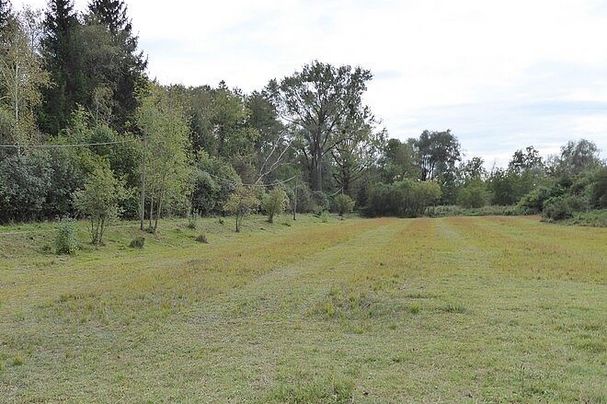 gepflegte Wiese