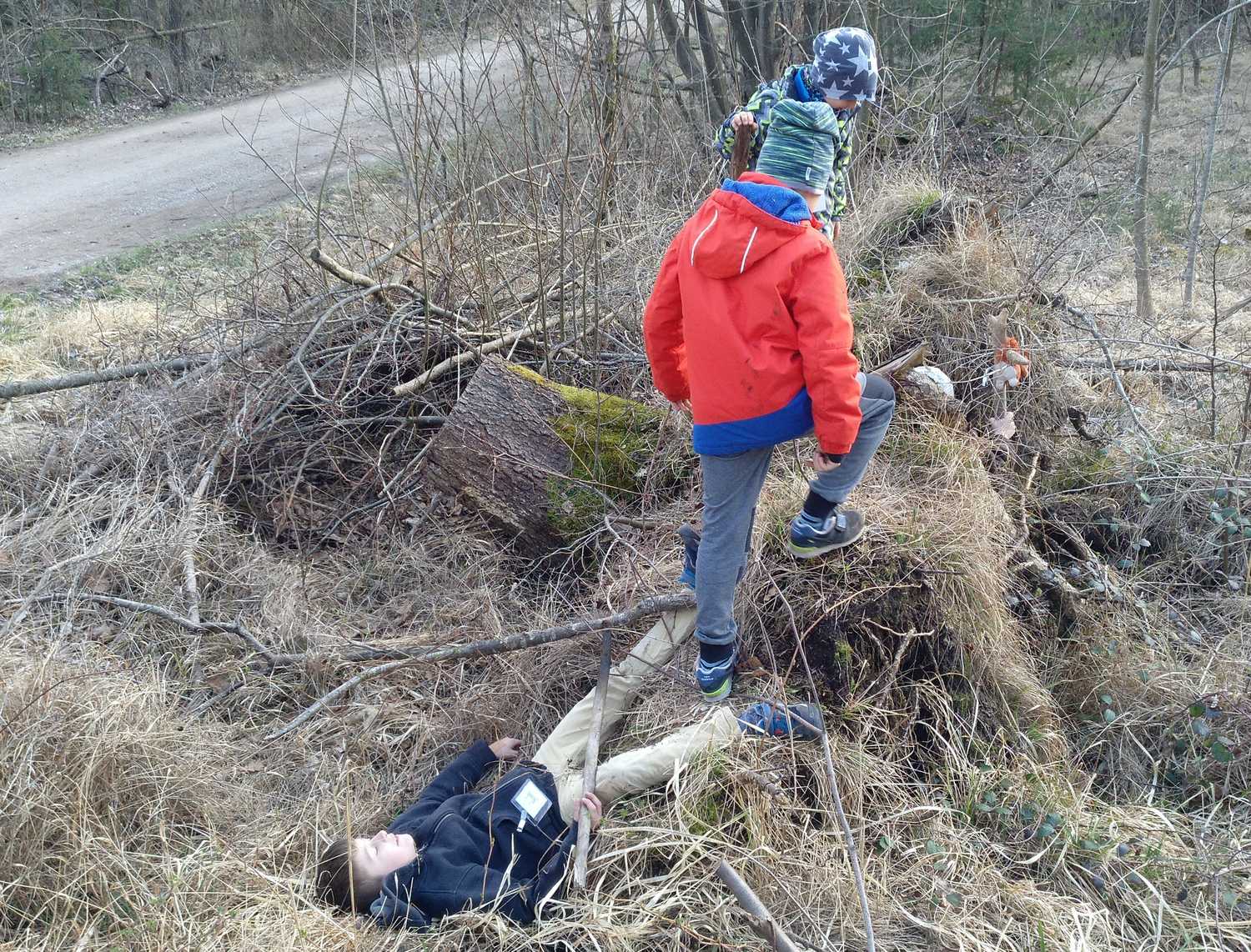 Toben im Wald